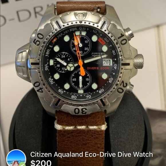 Citizen Accessories | Aqualand Dive Watch | Poshma