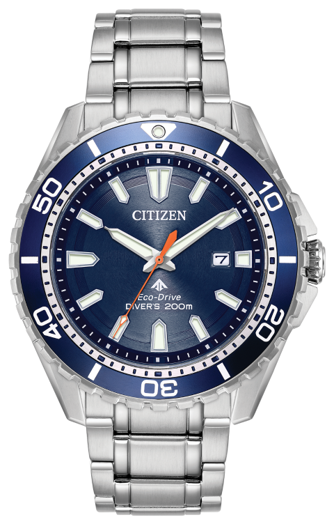 Promaster Diver - Men's Steel Blue Dial BN0191-55L Watch | Citiz