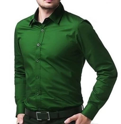 Green Formal Shirt For Men | royal and royd Green Formal Shirt For M