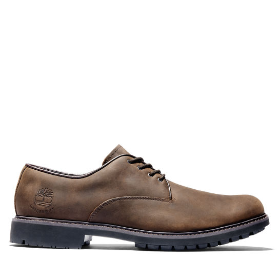 Timberland | Men's Stormbuck Waterproof Oxford Sho