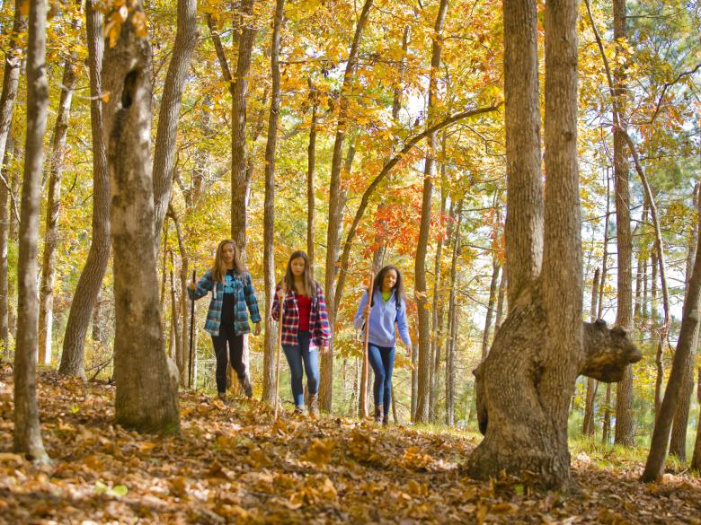 Red Top Mountain State Park | Official Georgia Tourism & Travel .