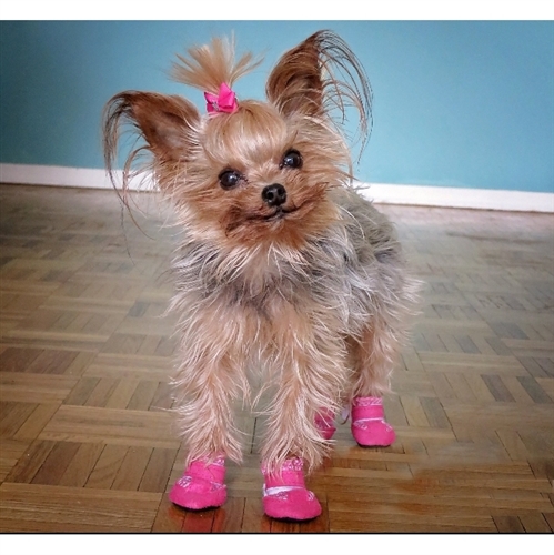 Small Dog Booties - Mini Meshies by Barko Booties - Pink .