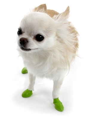 Disposable/Reusable Dog Boots in Tiny Lime Green - Apparel - Shoes .