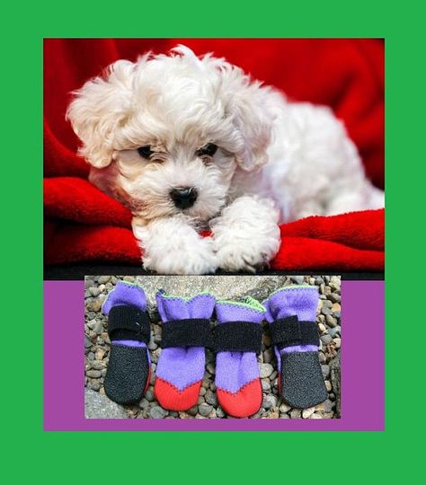 Tiny dog clothes / Tiny dog boots / Puppy dog boots / Extra small .