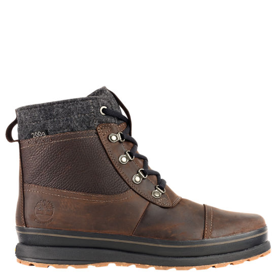 Men's Schazzberg Mid Waterproof Winter Boots | Timberland US Sto